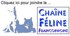 Cliquez ici pour joindre la Chaîne Féline Francophone