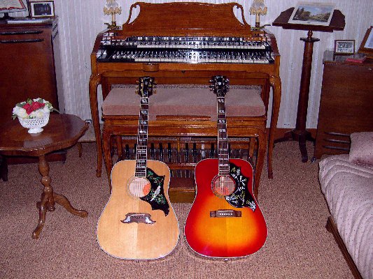 Gibson Dove et Hummingbird