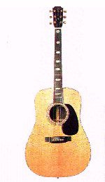 Martin D41